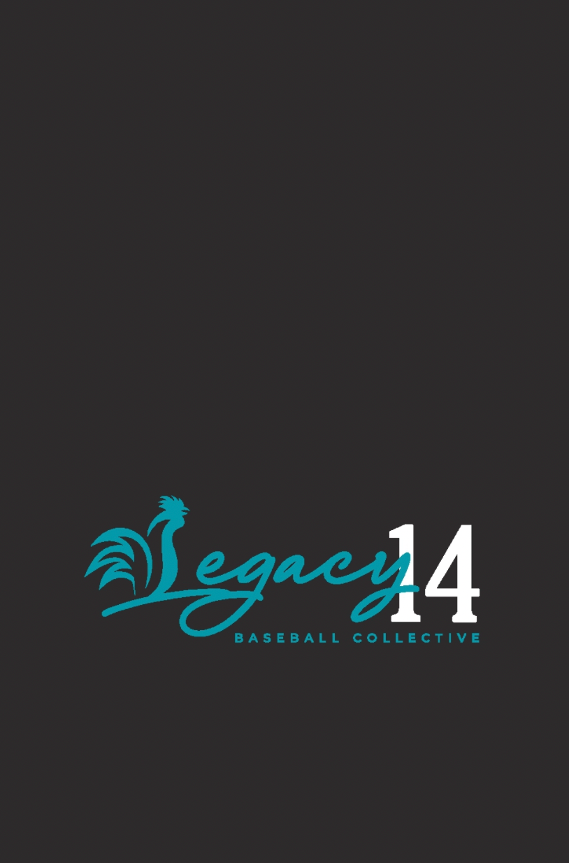 Legacy 14 Limited Edition Vodka 750ML