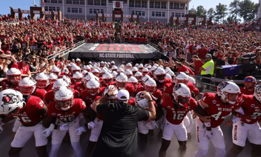 Savage Wolves Limited Edition Vodka 750ML